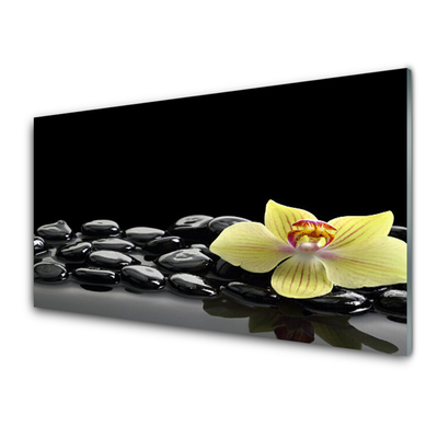 Tableaux sur verre Pierres fleurs cuisine jaune noir