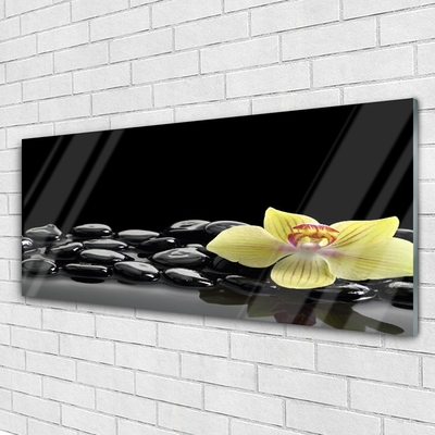 Tableaux sur verre Pierres fleurs cuisine jaune noir