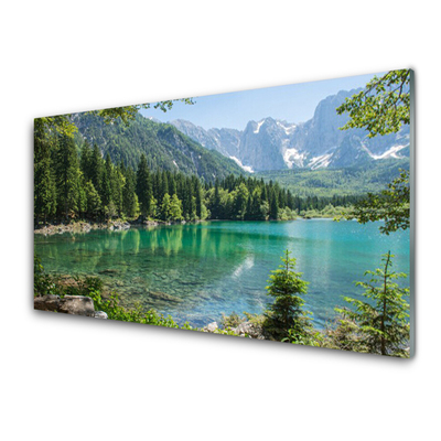 Tableaux sur verre Montagnes lac forêt nature gris vert bleu