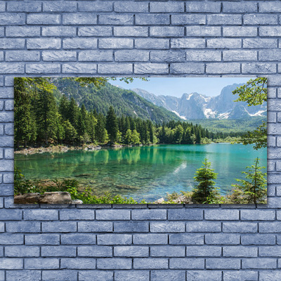 Tableaux sur verre Montagnes lac forêt nature gris vert bleu
