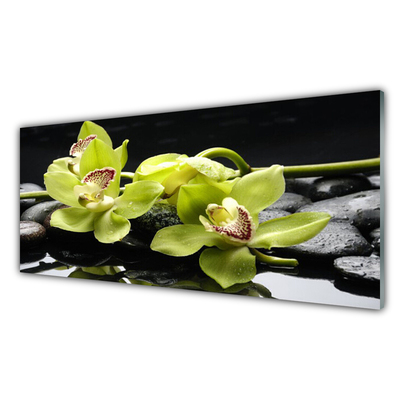 Tableaux sur verre Pierres fleurs floral vert noir
