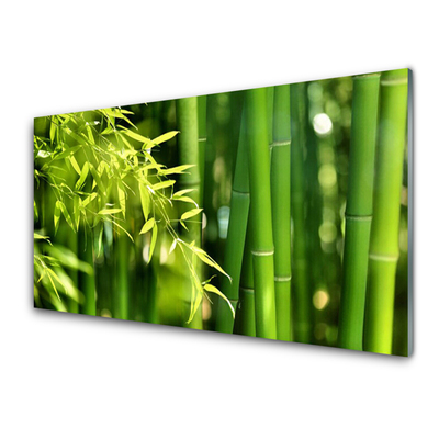 Tableaux sur verre Bambou feuilles floral vert