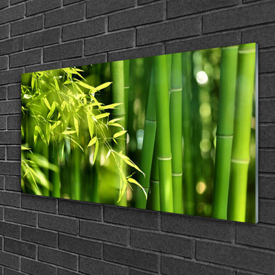 Tableaux sur verre Bambou feuilles floral vert