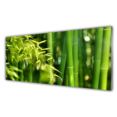 Tableaux sur verre Bambou feuilles floral vert