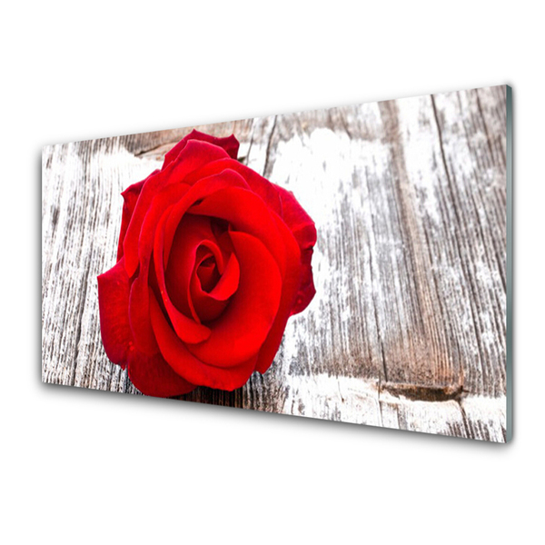 Tableaux sur verre Rose floral rouge