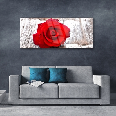 Tableaux sur verre Rose floral rouge