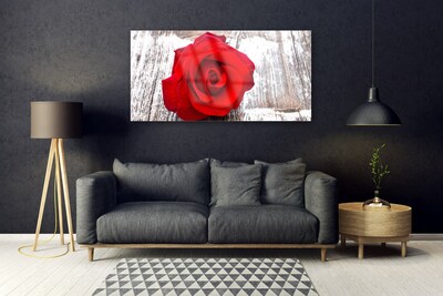 Tableaux sur verre Rose floral rouge