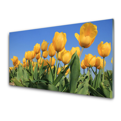 Tableaux sur verre Tulipes floral jaune