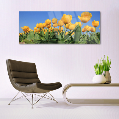 Tableaux sur verre Tulipes floral jaune