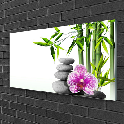 Tableaux sur verre Bambou pierres fleurs floral vert rose gris