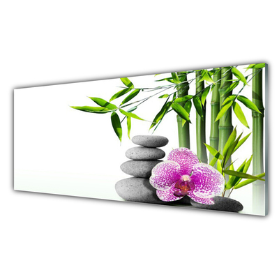 Tableaux sur verre Bambou pierres fleurs floral vert rose gris