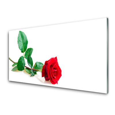 Tableaux sur verre Rose floral rouge