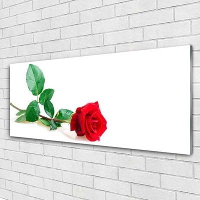 Tableaux sur verre Rose floral rouge