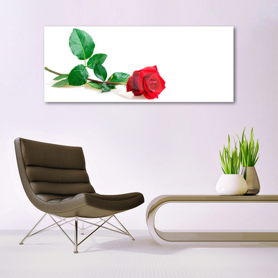 Tableaux sur verre Rose floral rouge