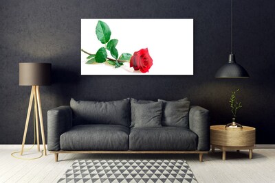 Tableaux sur verre Rose floral rouge