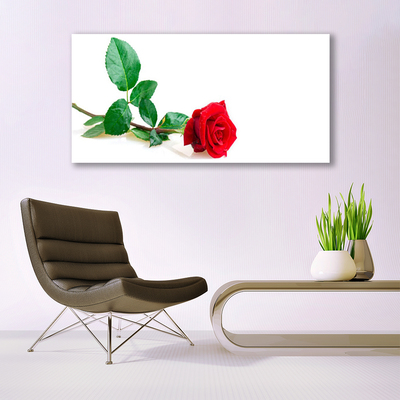 Tableaux sur verre Rose floral rouge