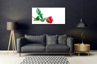 Tableaux sur verre Rose floral rouge