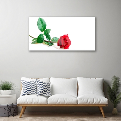 Tableaux sur verre Rose floral rouge