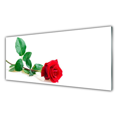 Tableaux sur verre Rose floral rouge