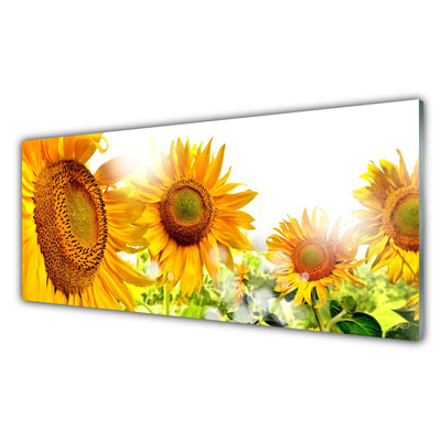 Tableaux sur verre Tournesol floral jaune brun