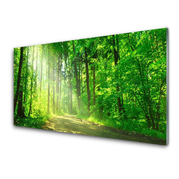 Tableaux sur verre Forêt nature brun vert