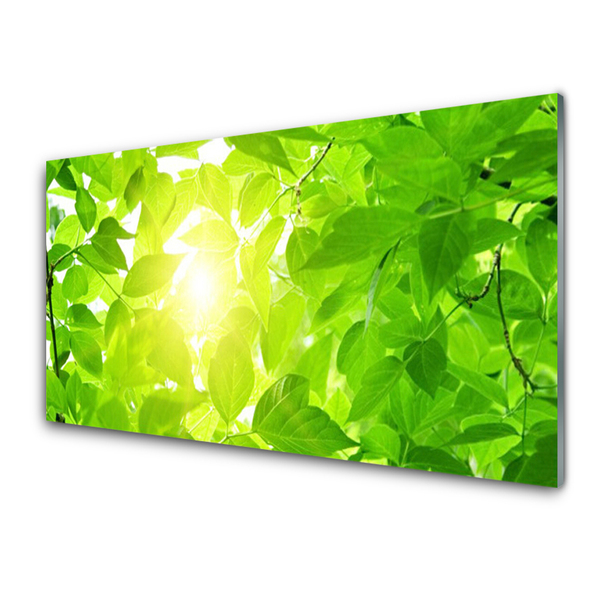 Tableaux sur verre Feuilles floral vert