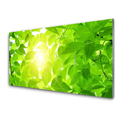 Tableaux sur verre Feuilles floral vert