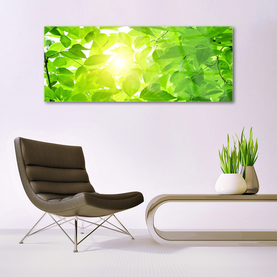 Tableaux sur verre Feuilles floral vert