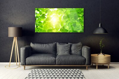 Tableaux sur verre Feuilles floral vert