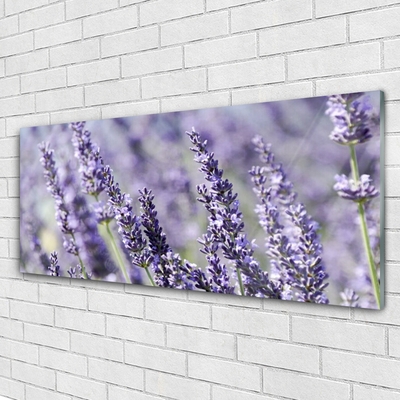 Tableaux sur verre Fleurs floral violet