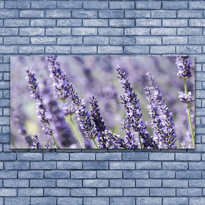 Tableaux sur verre Fleurs floral violet