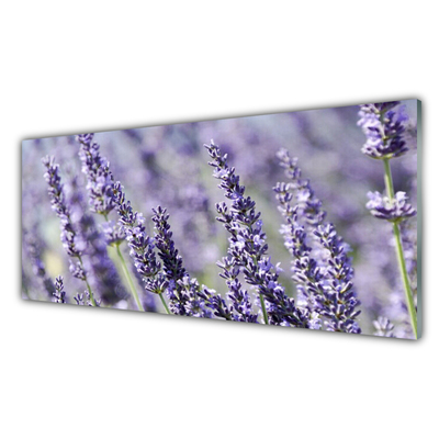 Tableaux sur verre Fleurs floral violet