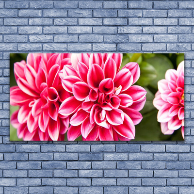 Tableaux sur verre Fleurs floral rouge blanc