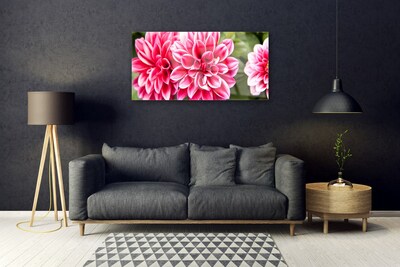 Tableaux sur verre Fleurs floral rouge blanc