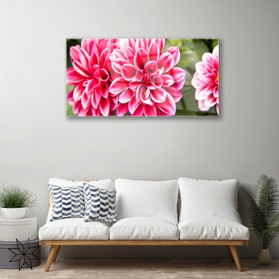 Tableaux sur verre Fleurs floral rouge blanc