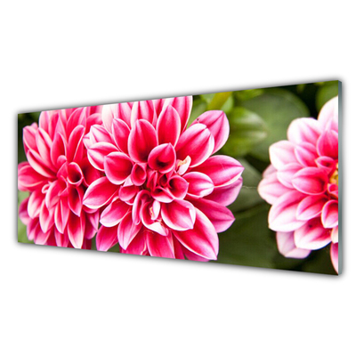 Tableaux sur verre Fleurs floral rouge blanc