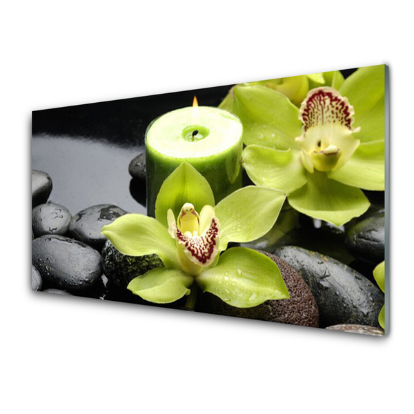 Tableaux sur verre Pierres fleurs floral vert noir