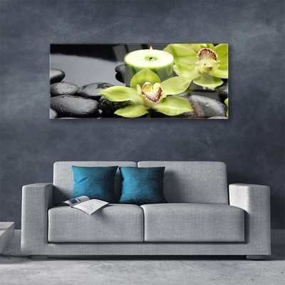 Tableaux sur verre Pierres fleurs floral vert noir