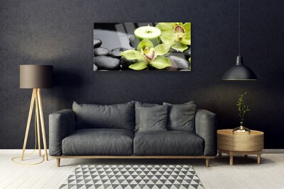 Tableaux sur verre Pierres fleurs floral vert noir