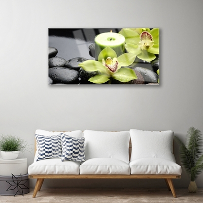 Tableaux sur verre Pierres fleurs floral vert noir