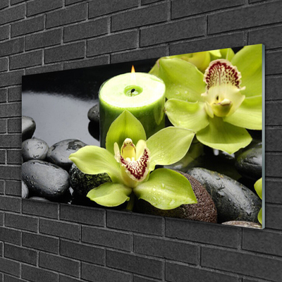 Tableaux sur verre Pierres fleurs floral vert noir