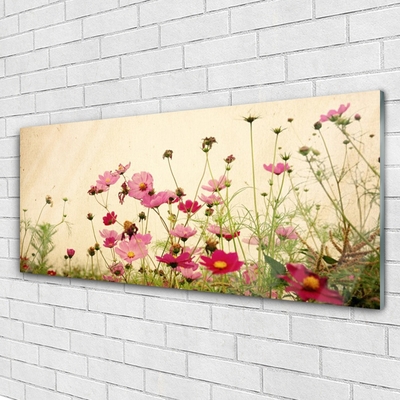 Tableaux sur verre Fleurs floral rose rouge