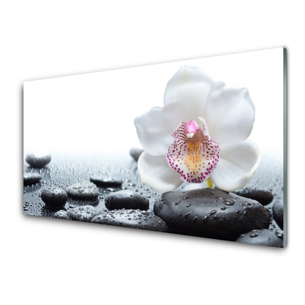 Tableaux sur verre Pierres fleurs art blanc noir