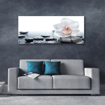 Tableaux sur verre Pierres fleurs art blanc noir