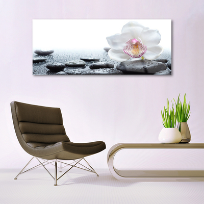 Tableaux sur verre Pierres fleurs art blanc noir