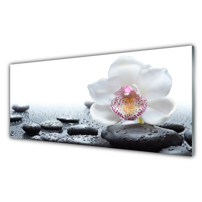 Tableaux sur verre Pierres fleurs art blanc noir