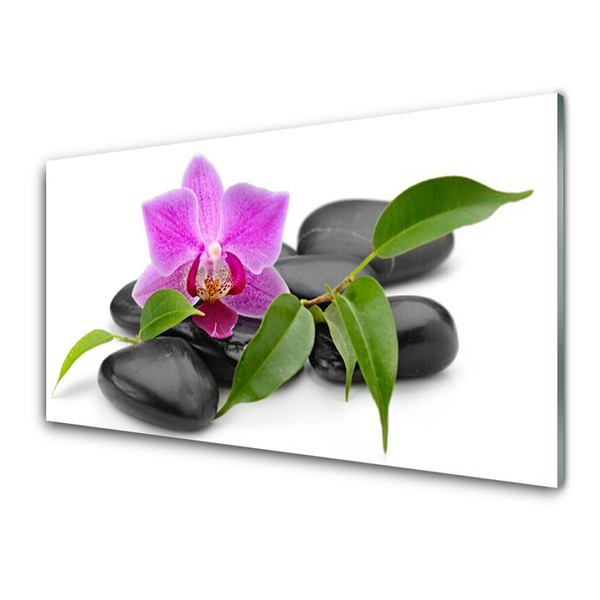 Tableaux sur verre Pierres fleurs art rose noir