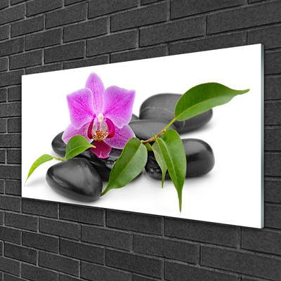 Tableaux sur verre Pierres fleurs art rose noir