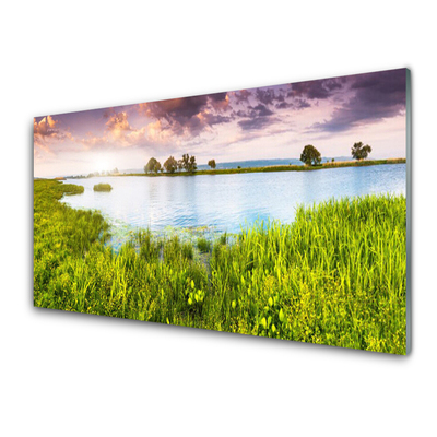 Tableaux sur verre Lac herbe nature vert bleu