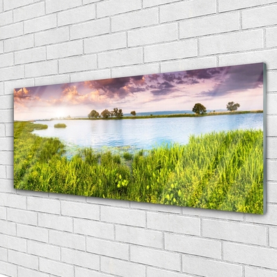 Tableaux sur verre Lac herbe nature vert bleu